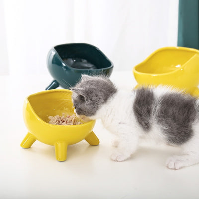 Futter- und Wassernapf aus Keramik für Hunde und Katzen