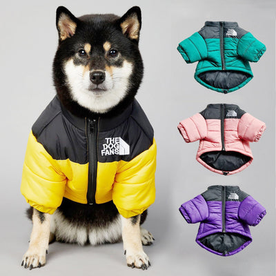 Warme und farbenfrohe, reflektierende, wasserdichte Daunenjacke für Hunde.