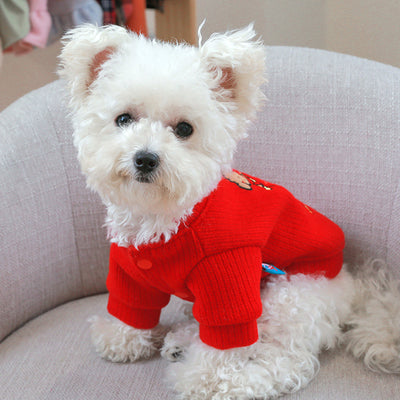 Warmer Pullover für Hunde.